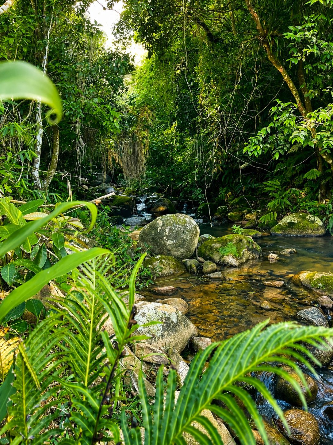 Paisagens de Paulo Lopes