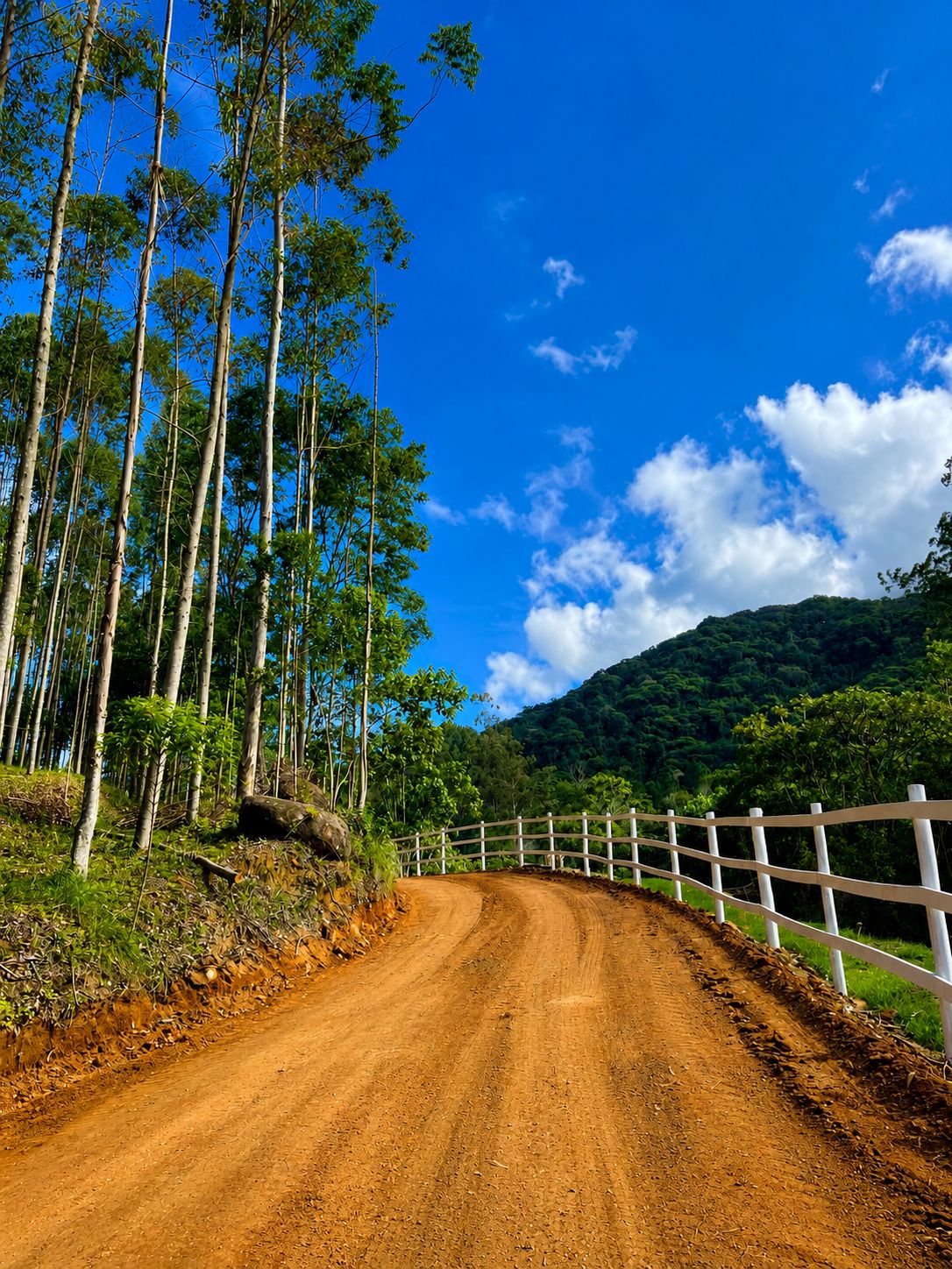 Cenário natural e sofisticado do ECOS
