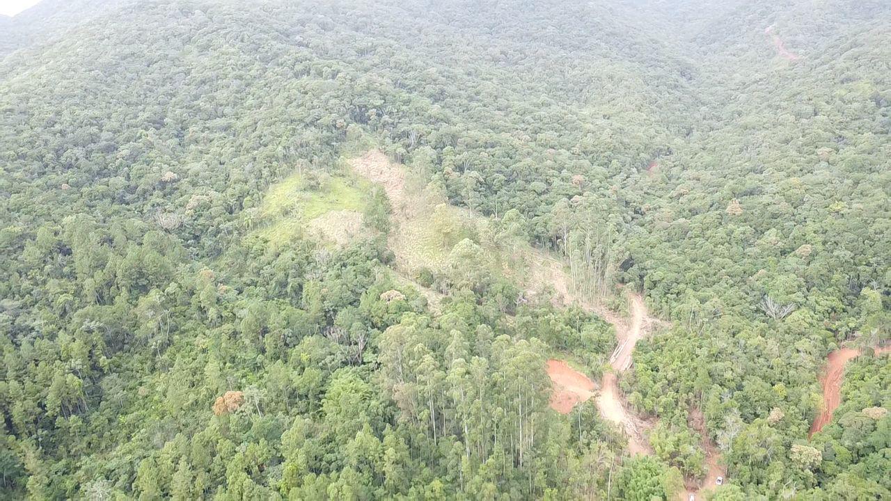 Vale e mata preservada