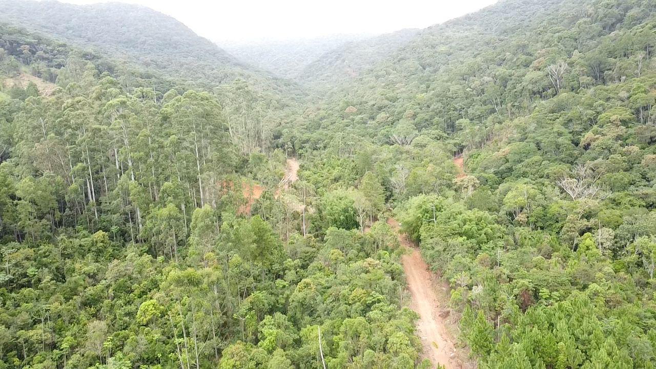 Vista aérea da gleba
